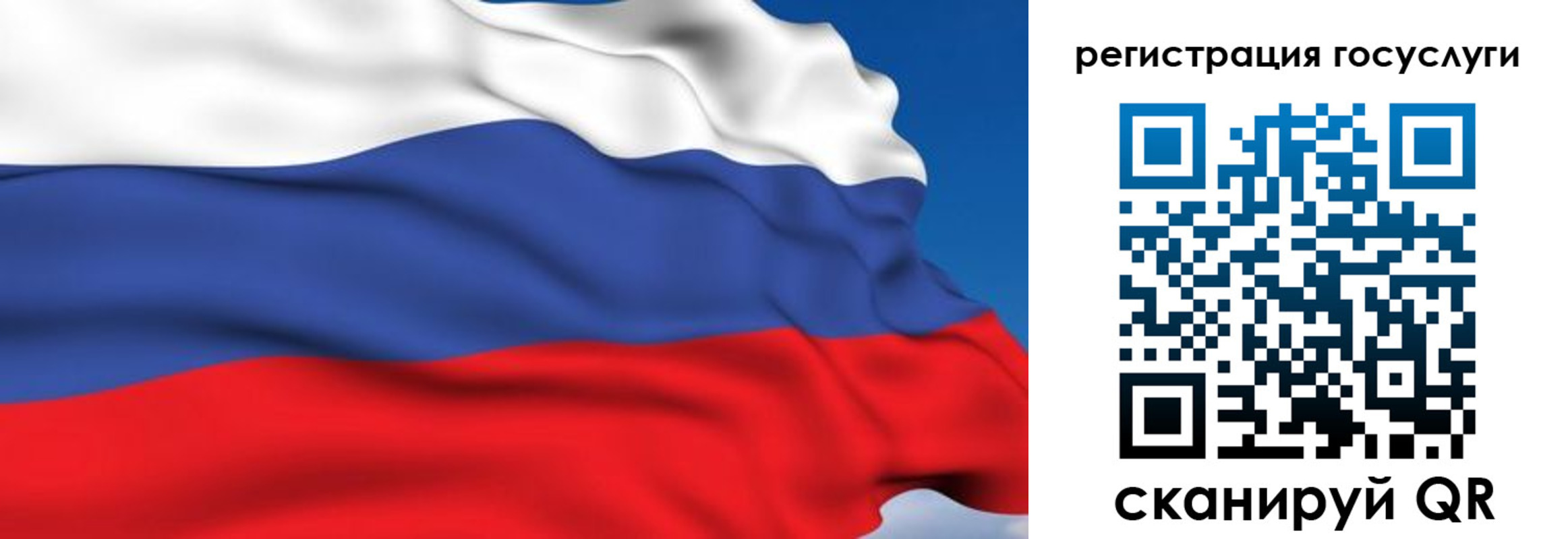 где прописаться в Дмитрове
